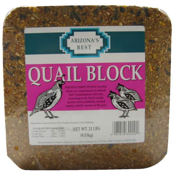 home depot bird seed block