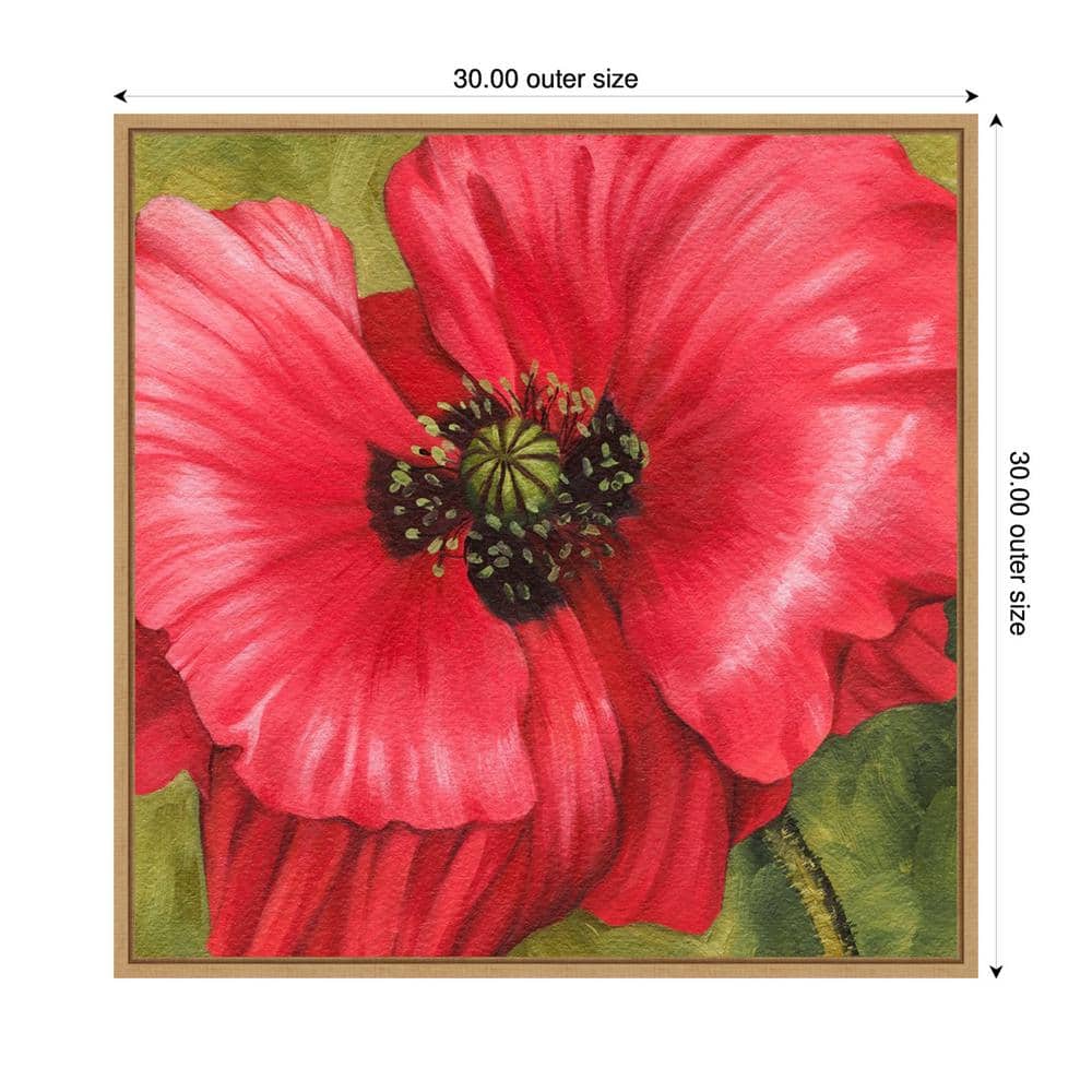 Vivid Poppy II Red Floral Canvas Wall Art with Maple Frame
