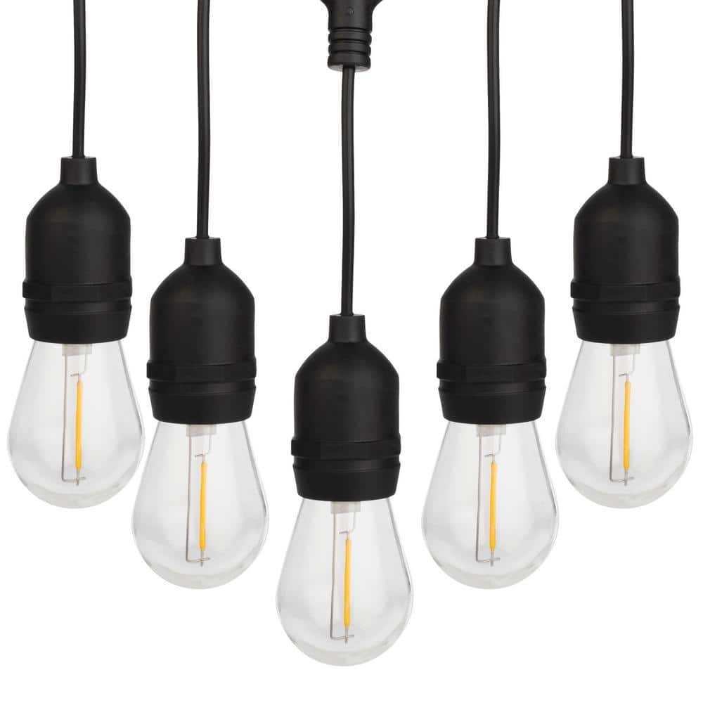 Warm White 40ft Outdoor LED Edison Bulb String Lights