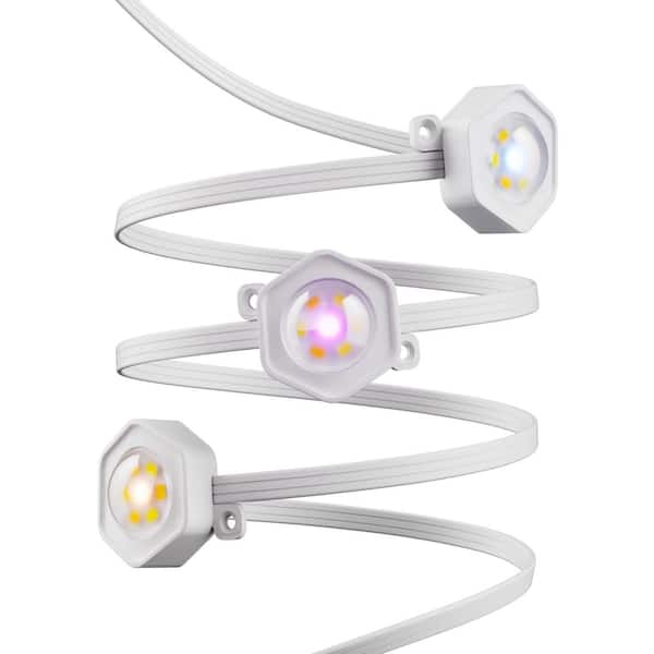 Hampton Bay 10 LED 16.4 ft. Plug-in Mini Integrated LED Novelty Permanent Outdoor String Light Expansion Set Powered by Hubspace SQHDE03-5PSL