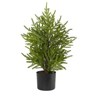 2 ft. Norfolk Island Pine Natural Look Artificial Tree in Decorative Planter