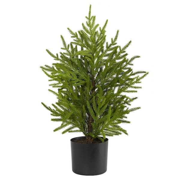 Nearly Natural 2 ft. Norfolk Island Pine Natural Look Artificial Tree ...