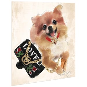 "Pomeranian" Unrameled Free Floating Tempered Glass Panel Graphic Dog Animal Wall Art Print 20 in. x 20 in.
