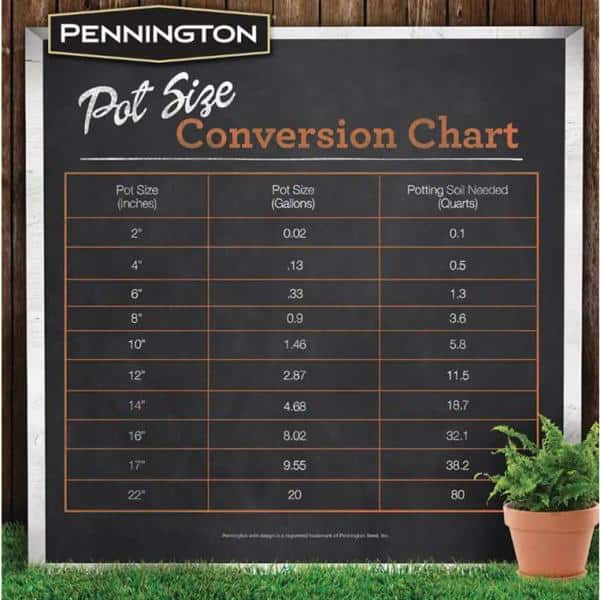 Pennington - 9.5 in. Medium Clay Terra Cotta Pot