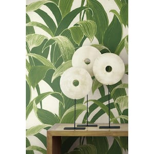 Banana Groves Vinyl Peelable Wallpaper (Covers 30.75 sq. ft.)