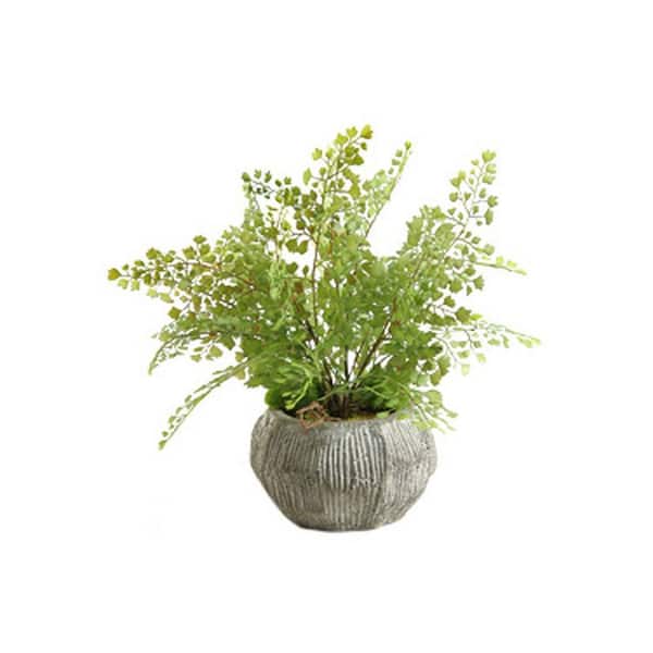 15 in. Indoor Flat Iron Fern Artificial Plant in Concrete Bowl-Decorative Faux Fern Accent for Modern Interiors
