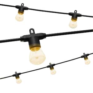 12 Bulbs 24 ft. Outdoor/Indoor Bistro LED String Light, Acrylic Edison Bulbs (2-Pack)