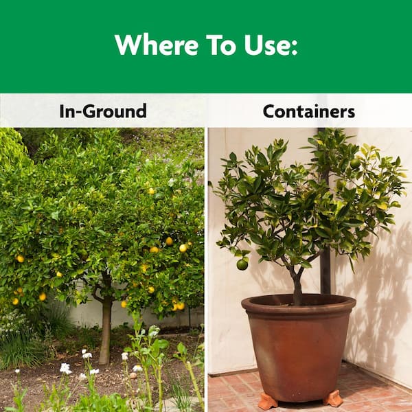 Miracle-Gro Shake N Feed Citrus, Avocado, Mango Plant Food