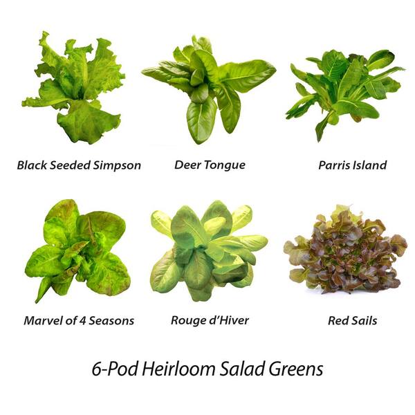 AeroGarden Heirloom Salad Greens Seed Pod Kit 6-Pod 6-Pod 