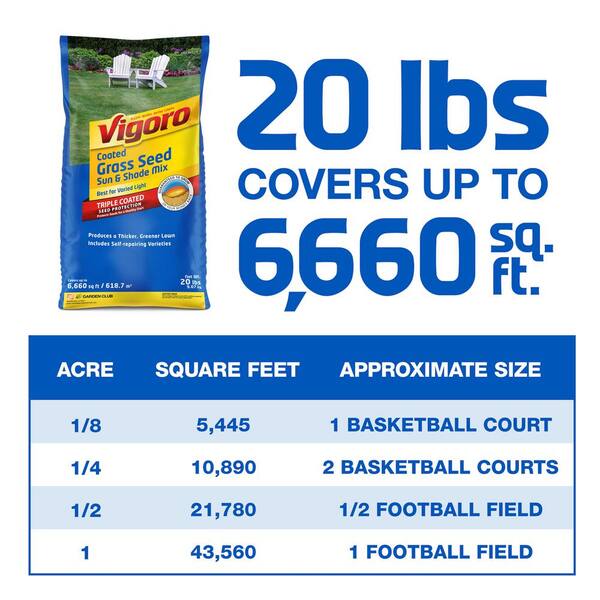 Vigoro 20 lbs. Sun and Shade Grass Seed Mix 100544413 - The