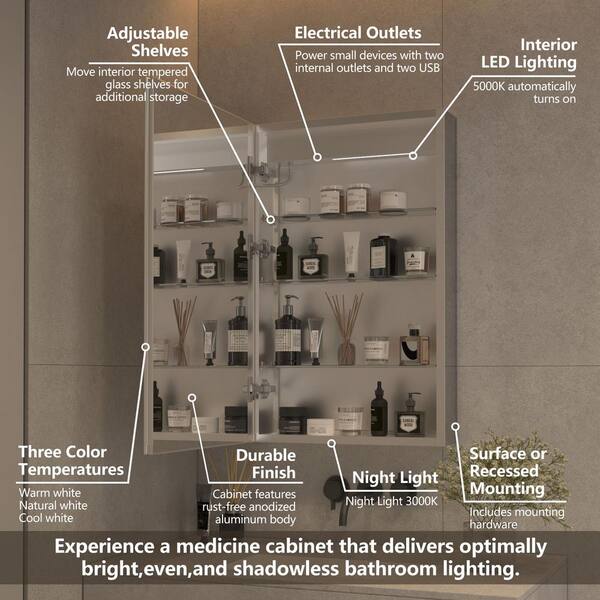 WELLFOR EX4 20-in x 32-in Lighted LED Fog Free Surface/Recessed Mount Silver Mirrored Soft Close Medicine Cabinet with Outlet