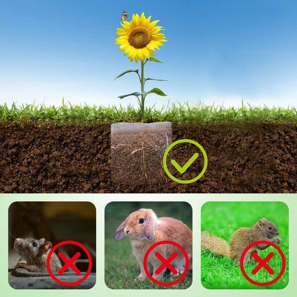 Outdoor Gopher and Vole Wire Mesh Barrier for Garden Plants Root