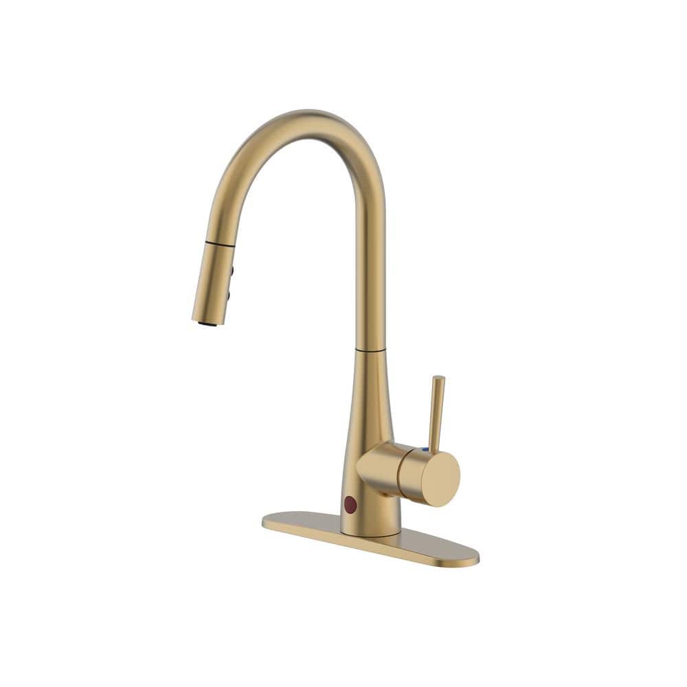 Runfine Single-Handle Pull-Down Sprayer Kitchen Faucet Hands Free in Matte Gold -  RF416002
