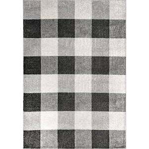 Aisha Buffalo Plaid Gray 8 ft. x 10 ft. Area Rug