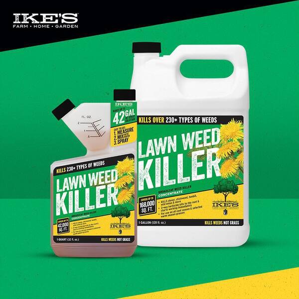 IKE'S 128 oz. Dandelion Destroyer 114105 - The Home Depot