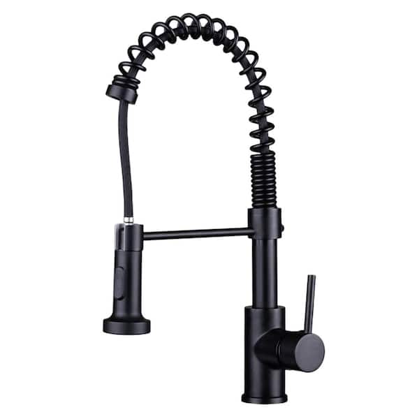 EZ-FLO Kitchen Series Single-Handle Pull-Down Sprayer Kitchen Faucet in Matte Black