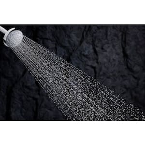 Awaken 1-Spray Patterns 3.8 in. Single Wall Mount Fixed Shower Head in Polished Chrome