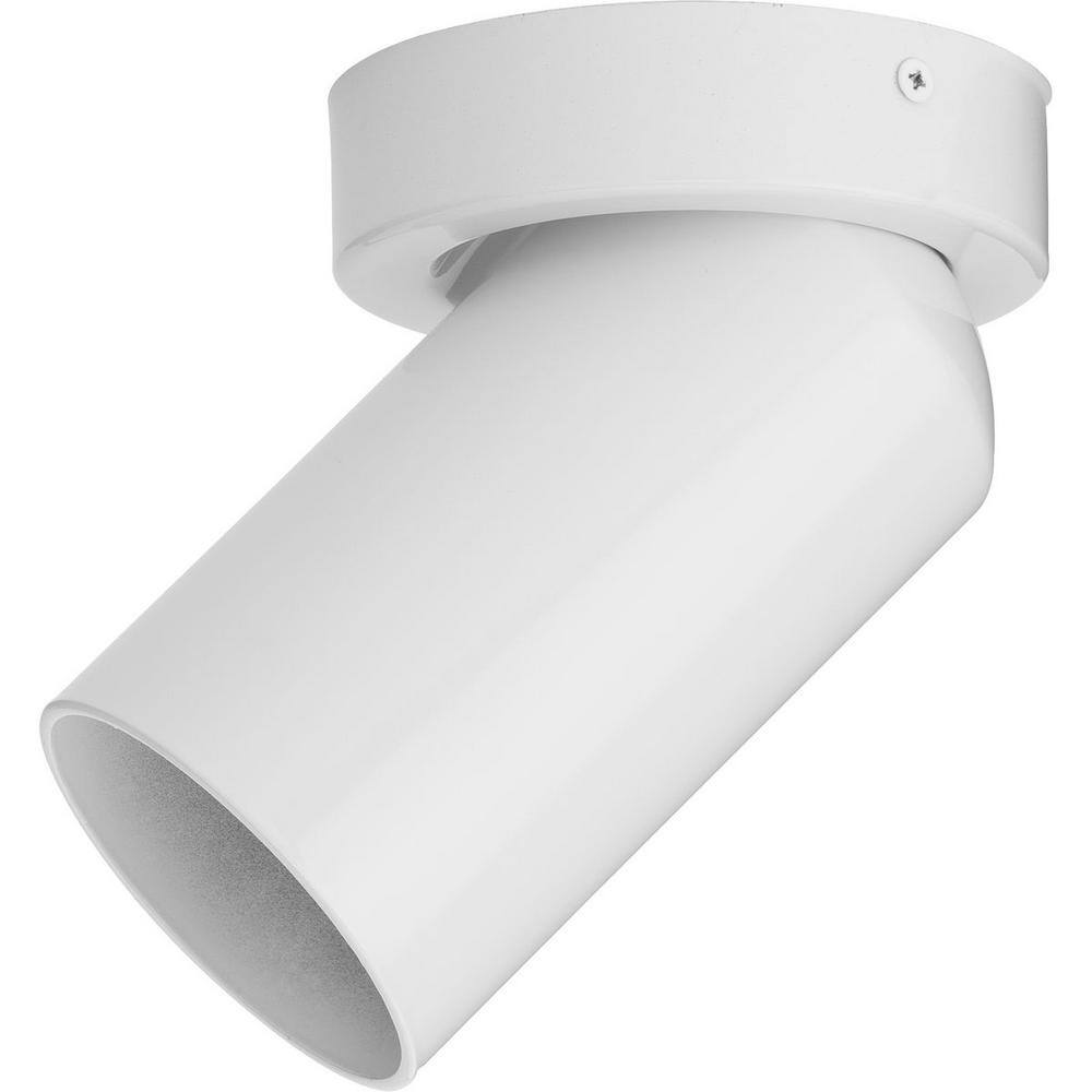 White Aluminum Adjustable Surface Mount Cylinder Light