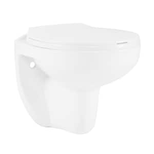 Barclay Elongated Wall-Hung Toilet Bowl Only in Glossy White
