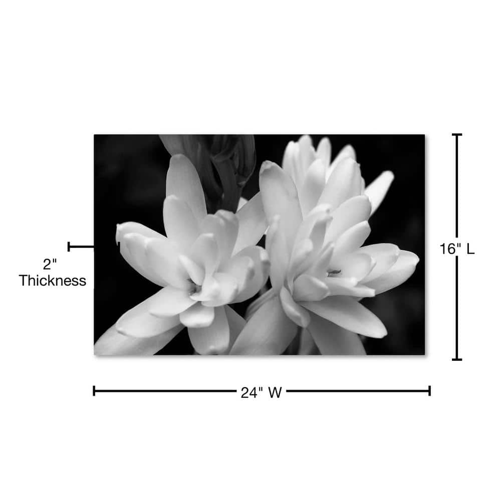 Tuber Rose Black and White Canvas Wall Art with Floater Frame