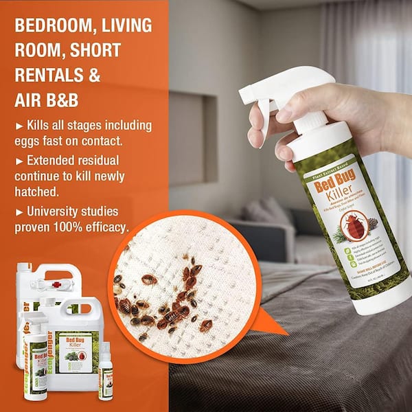 Natural Bed Bugs Killer Eco-Friendly killing Anti bedbug Repeller Insecticide 