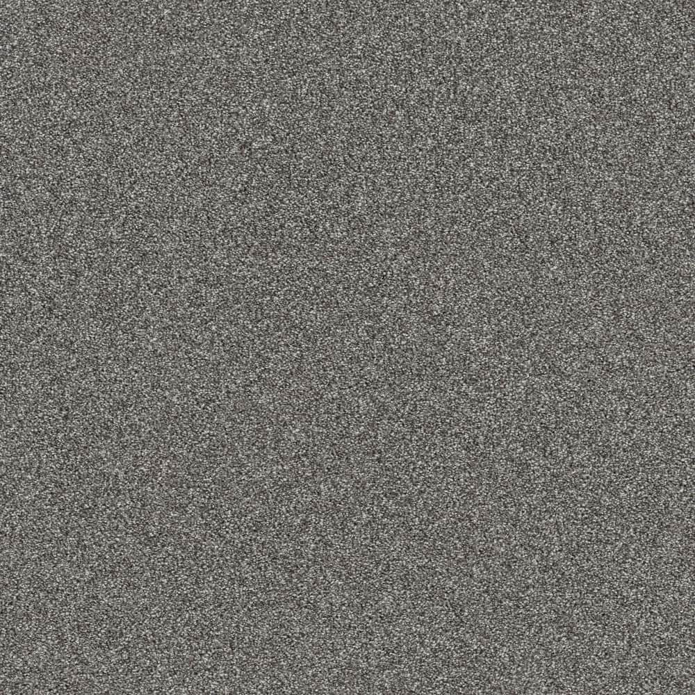 8 in. x 8 in. Texture Carpet Sample - Vacation - Color Star Dust