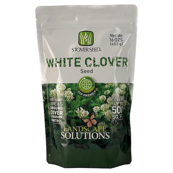 Stover Seed White Clover Seed