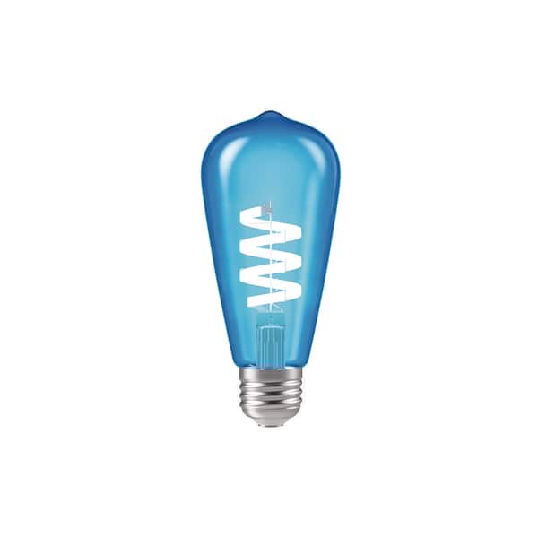 60.0-Watt Equivalent ST19 Soft White Non Dimmable Bulb 1-Pack