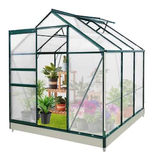 6 ft. W x 6 ft. D x 7 ft. H Outdoor Walk-in Hobby Greenhouse