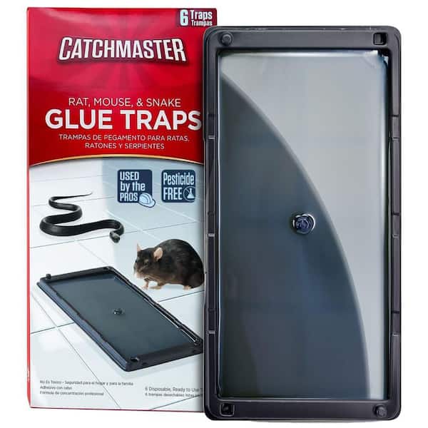 PRO Rat, Mouse, Snake, Spider, Scorpion and Insect Glue Traps (6-Pack)