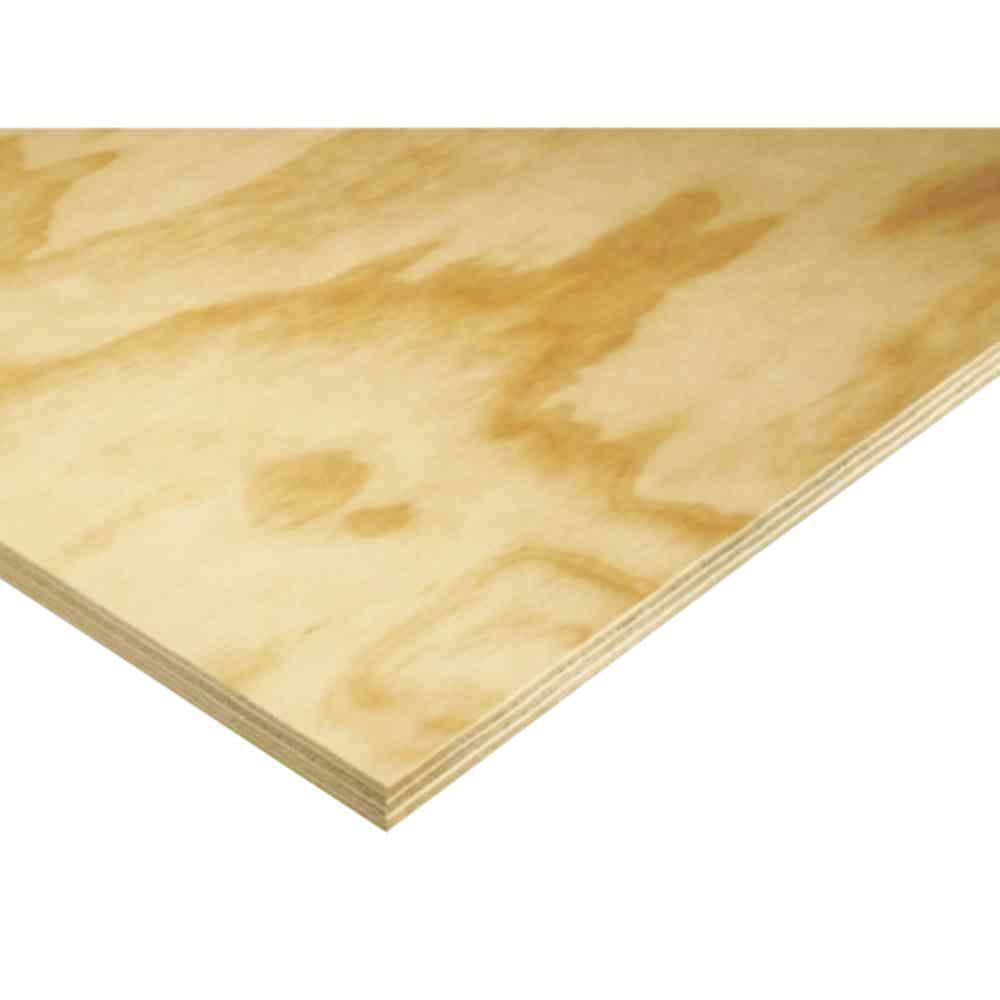 ARAUCO AC Sanded Pine Plywood Panel (Common: 23/32 in. x 4 ft. x 8
