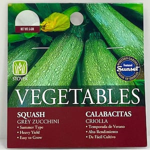 Squash Grey Zucchini Seed
