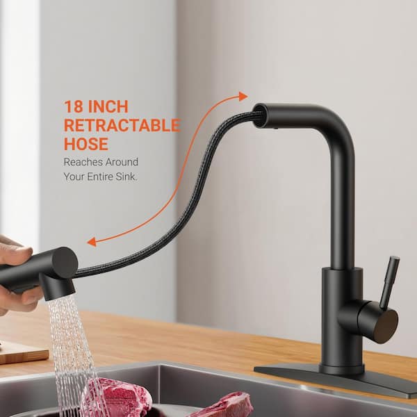 androme Single Handle Pull Down Sprayer Kitchen Faucet with Pull