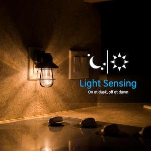 0.5-Watt Plug In Light Sensing Integrated Vintage LED Cage Night Light