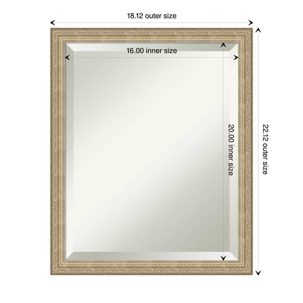 Paris Champagne Bronze Brushed Framed Wall Mirror
