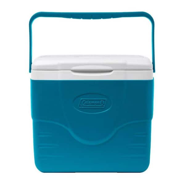 9 qt. Insulated Cooler, Portable Cooler Lunch Box with Ice Retention and Heavy-Duty Handle for Camping, Beach, Picnic