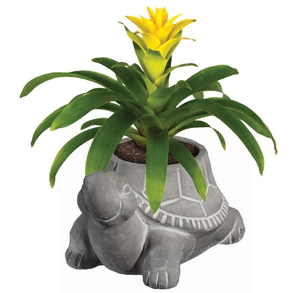 Turtle Small Gray Natural Concrete Lightweight Planter with Drainage Holes (6 in. L x  in. 4.75 W x 3.5 in. H)