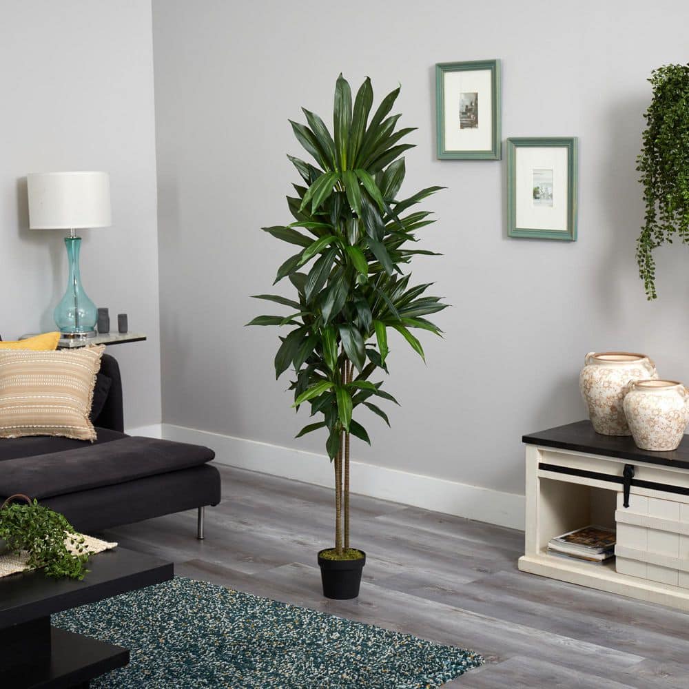 6' Green Dracaena Silk Floor Plant in Terracotta Pot