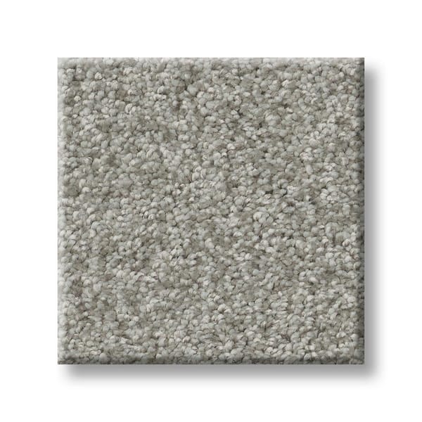 Lifeproof 8 in. x 8 in. Texture Carpet Sample - Rosemary III -Color Willow