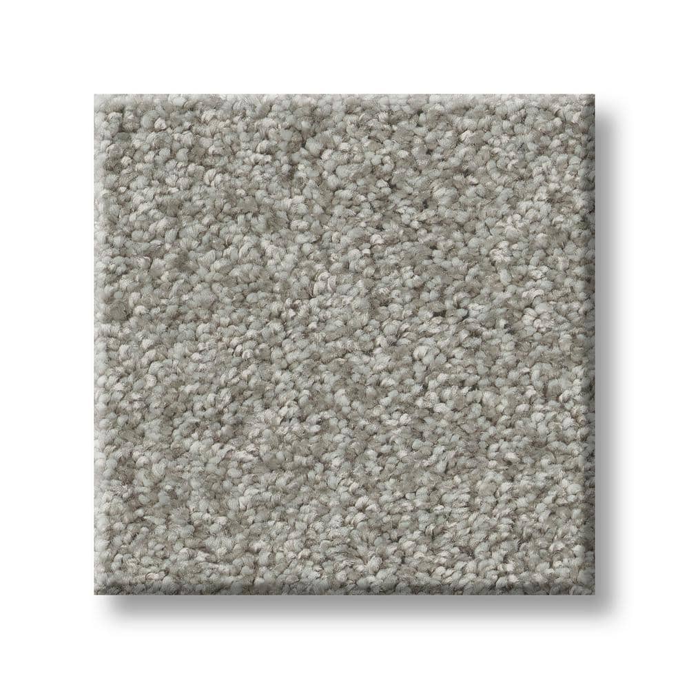 8 in. x 8 in. Texture Carpet Sample - Rosemary I -Color Willow price history on PriceWatchPro