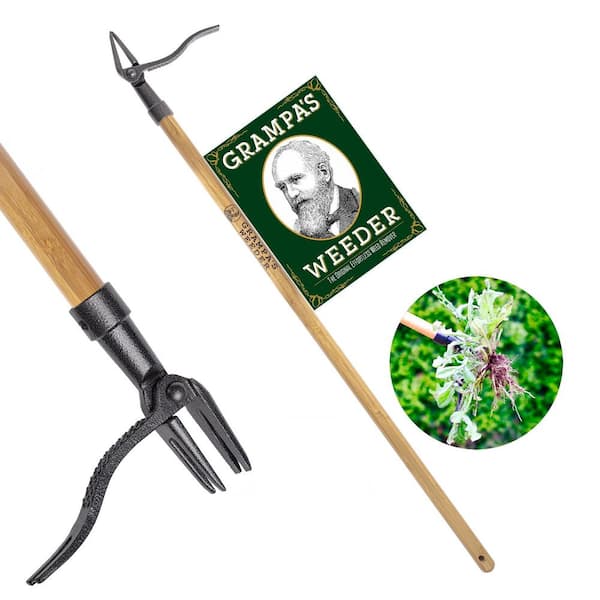 Grampa's Weeder - The Original Stand Up Weed Puller Tool Since 1913 - Stand-Up Weeder- Long Handle, No-Bend Weeding Tool