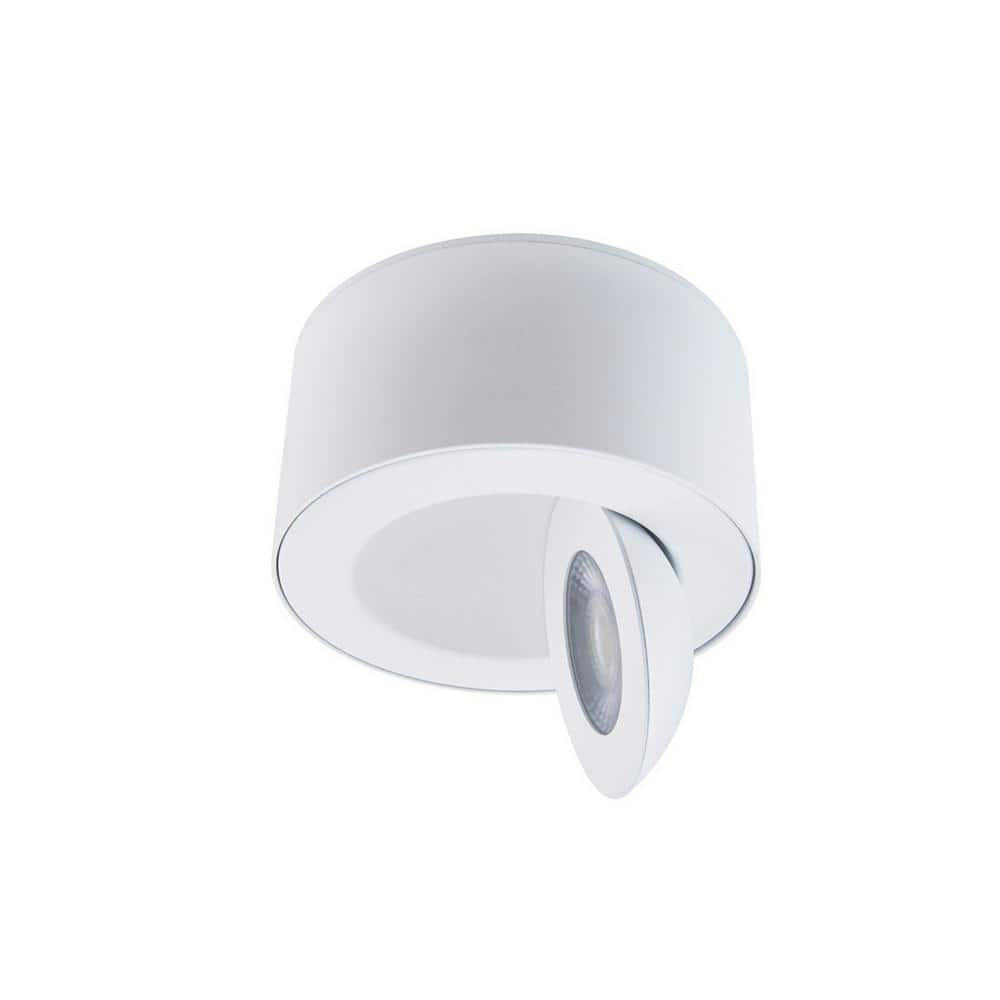 Peek Adjustable Beam LED Indoor/Outdoor Flush Mount in White