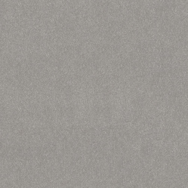 Home Decorators Collection House Party II - Steel - Gray 51.5 oz. Polyester Texture Installed Carpet