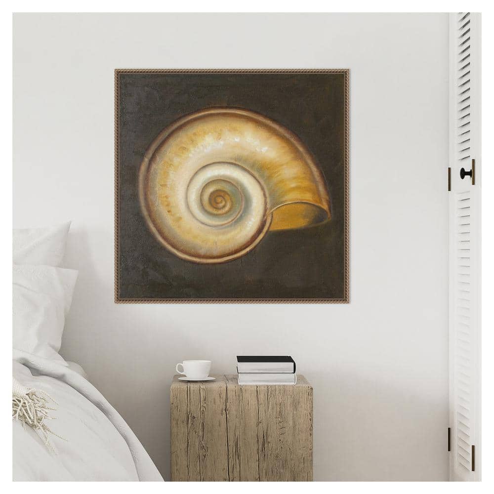30"x30" Seashell I by Patricia Pinto Framed Canvas Wall Art Print Bronze - Amanti Art: Hand-Stretched, Madison WI, Nautical Decor