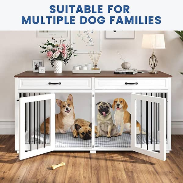 Two dog hotsell crate with divider