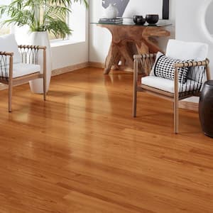 High Gloss Alexander Oak 8 mm Thick x 5 in. Wide x 47-3/4 in. Length Laminate Flooring (13.26 sq. ft. / case)