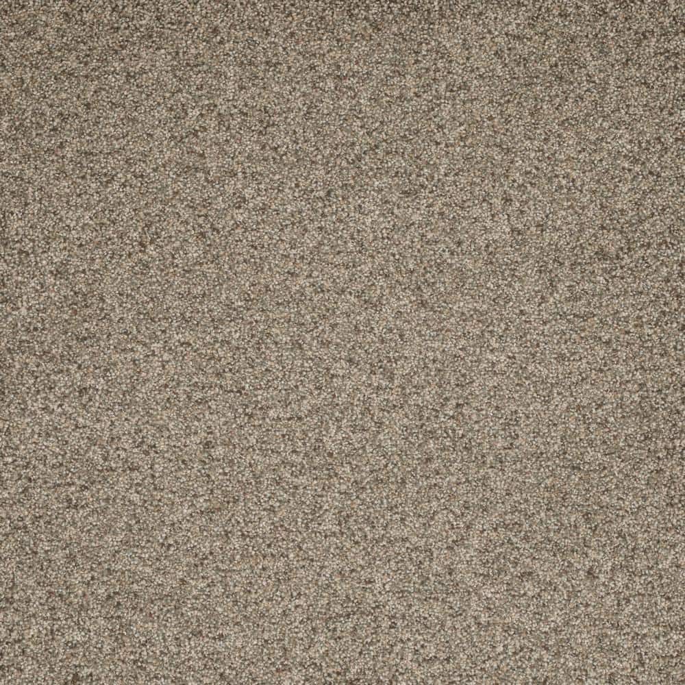 8 in. x  8 in. Texture Carpet Sample - Bradmore II -Color Jet price history on PriceWatchPro