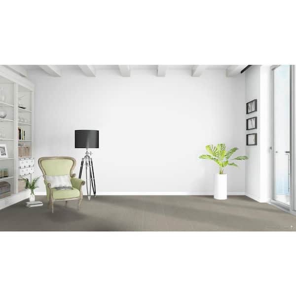 Dovetail - Notch - Beige 45 oz. SD Polyester Pattern Installed Carpet