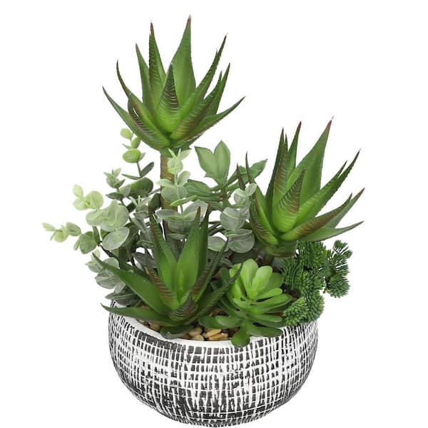 Unbranded 11 in. Large Artificial Succulent and Aloe Arrangement in Black  Ceramic Bowl Pots ENHD30995
