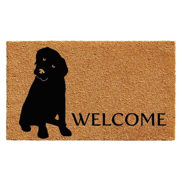 Kaluns Solid Front Doormat, Super Absorbent. 24 in X 36 in (Blue)  24X36-BL-HD - The Home Depot